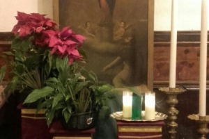Archicofradía del Pilar (02/01/2016)