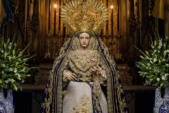 www.veracruzcadiz.es-galeria-pablo-martinez-besamano-diciembre-2023-9