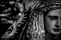 IMG_0635