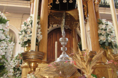www.veracruzcadiz.es-corpus-chiquito-2022-42