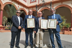 www.veracruzcadiz.es-funcion-50-aniversario-reorganizacion-2022-23