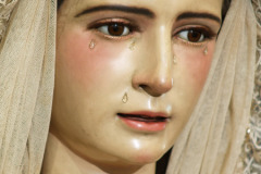Imagen-031