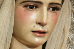 Imagen-032