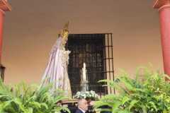 www.veracruzcadiz.es-flores-en-lo-cotidiano-2024-5