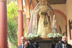 www.veracruzcadiz.es-flores-en-lo-cotidiano-2024-6