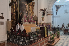 www.veracruzcadiz.es-funcion-principal-2025-1
