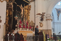 www.veracruzcadiz.es-funcion-principal-2025-3