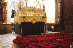 www.veracruzcadiz.es-trabajos-exhorno-floral-pasos-2022-3