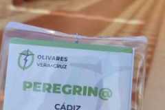 www.veracruzcadiz.es-peregrinacion-olivares-2022-0