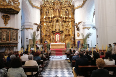 www.veracruzcadiz.es-procesion-palmas-parroquia-2022-8