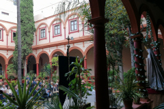 www.veracruzcadiz.es-rosario-aurora-2023-12