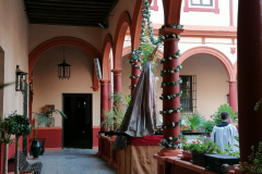 www.veracruzcadiz.es-rosario-aurora-2023-30