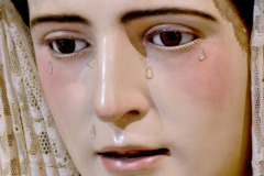 www.veracruzcadiz.es-galeria-borja-chamorro-besamano-2022-12