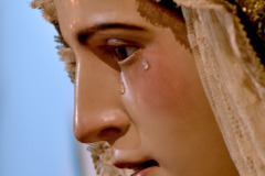 www.veracruzcadiz.es-galeria-borja-chamorro-besamano-2022-9
