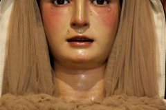 soledad5