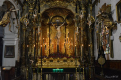 DSC_0049-copia
