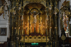 DSC_0056-copia