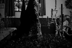 IMG_4725